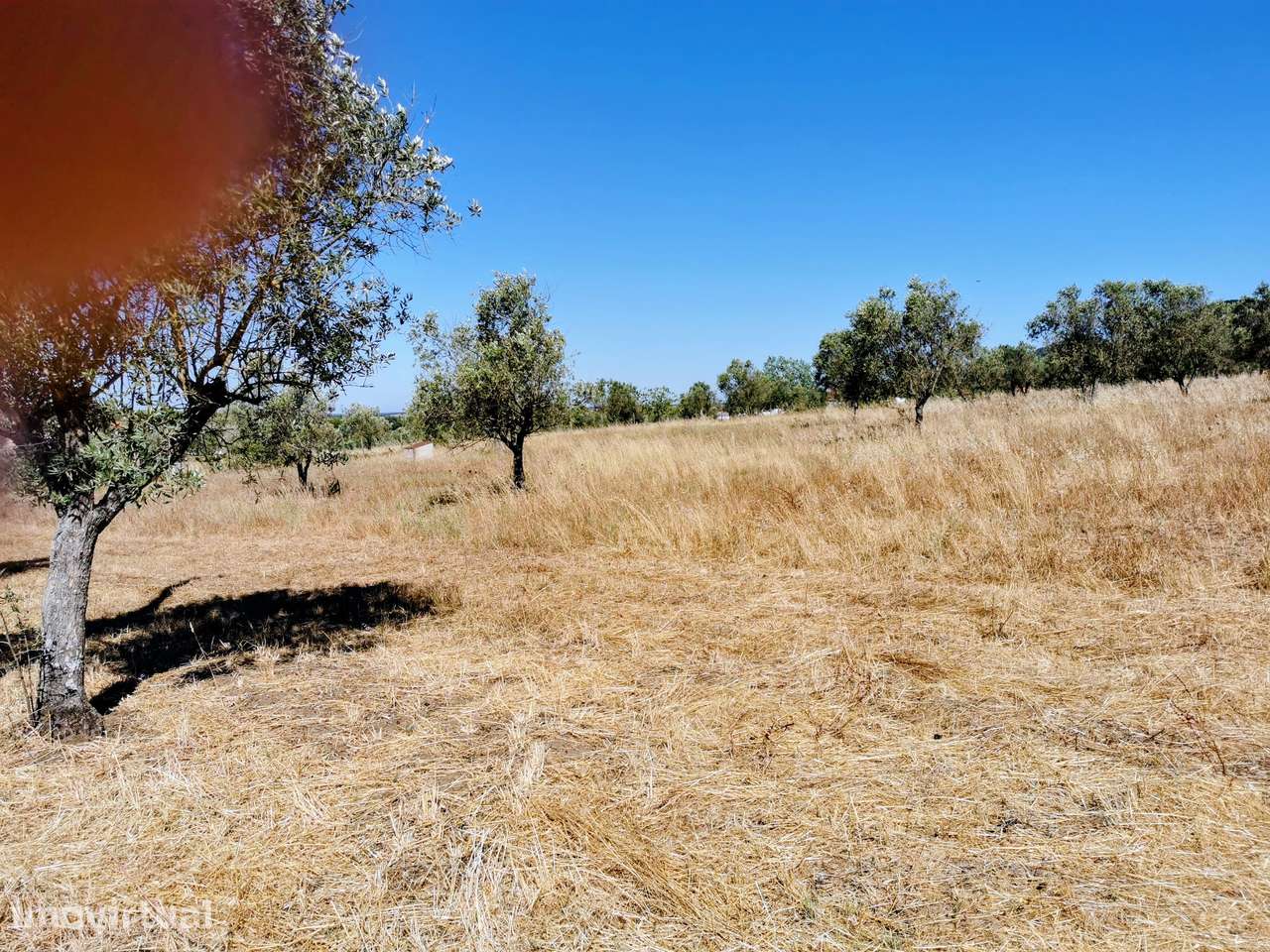 1 Hectare em Santiago do Escoural, Montemor-o-Novo, Évora - Grande imagem: 4/4
