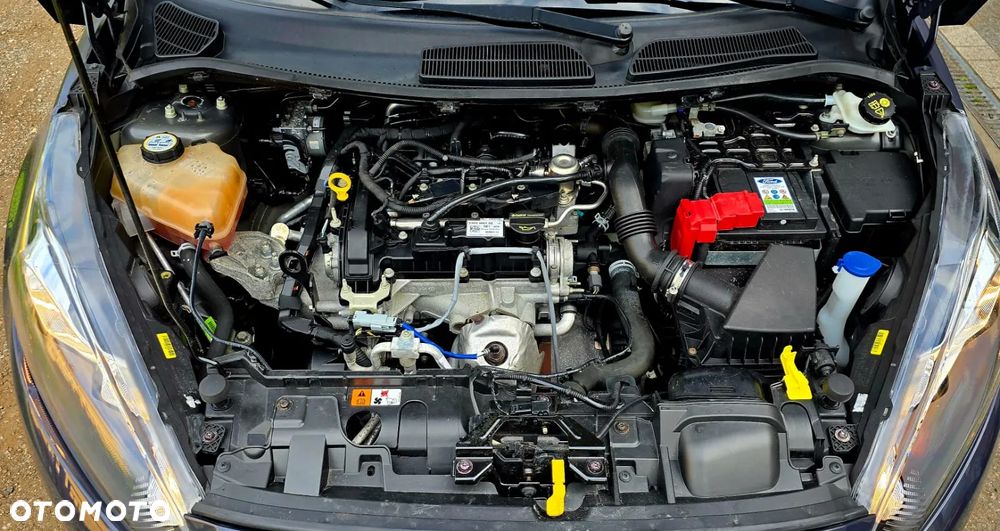 Ford Fiesta 1.0 Champions Edition - 24