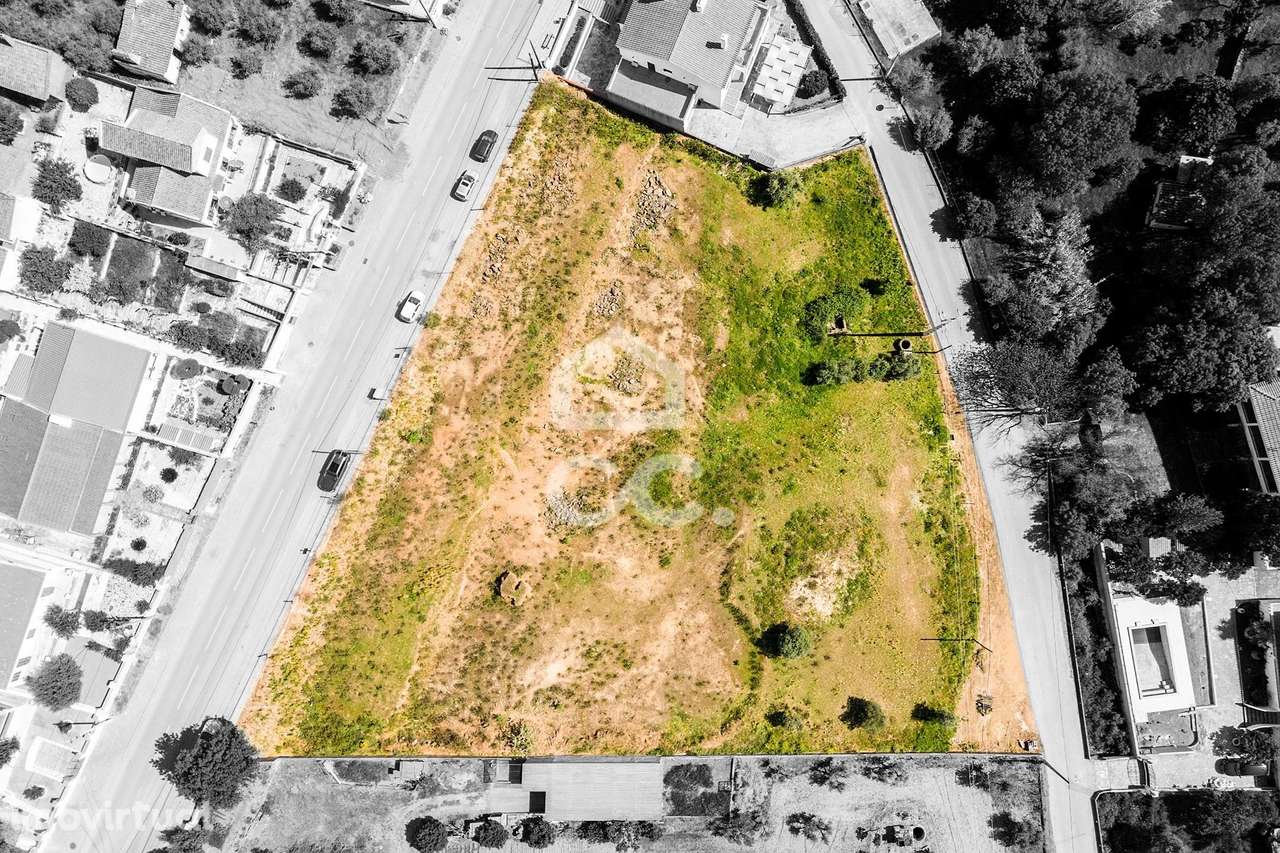 Terreno de 5965 m2 para construção| Serra D'Ossa (Redondo) - Grande imagem: 2/35