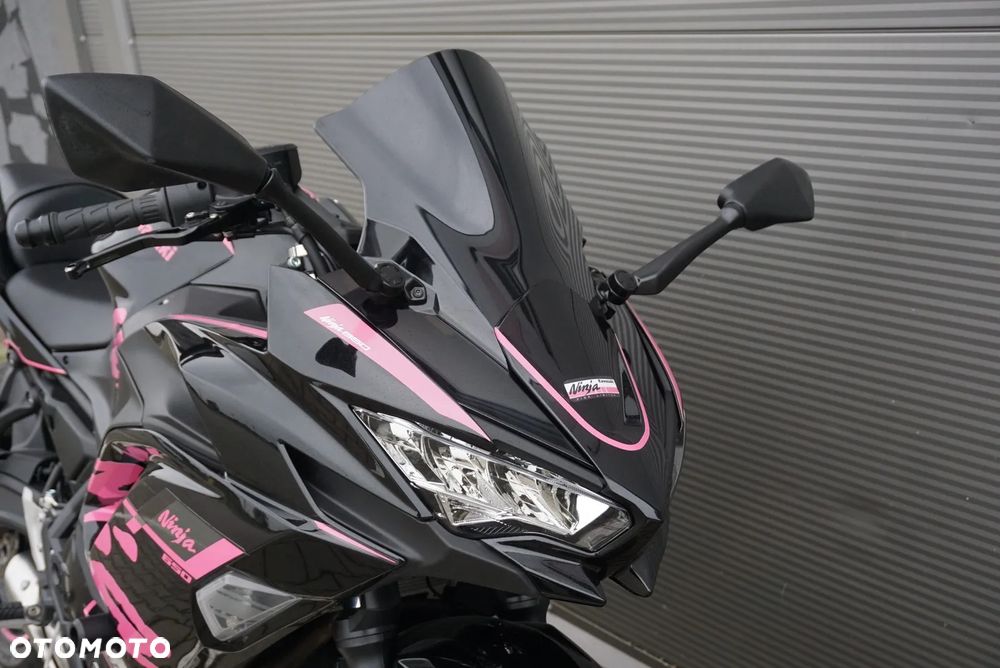 Kawasaki Ninja - 13