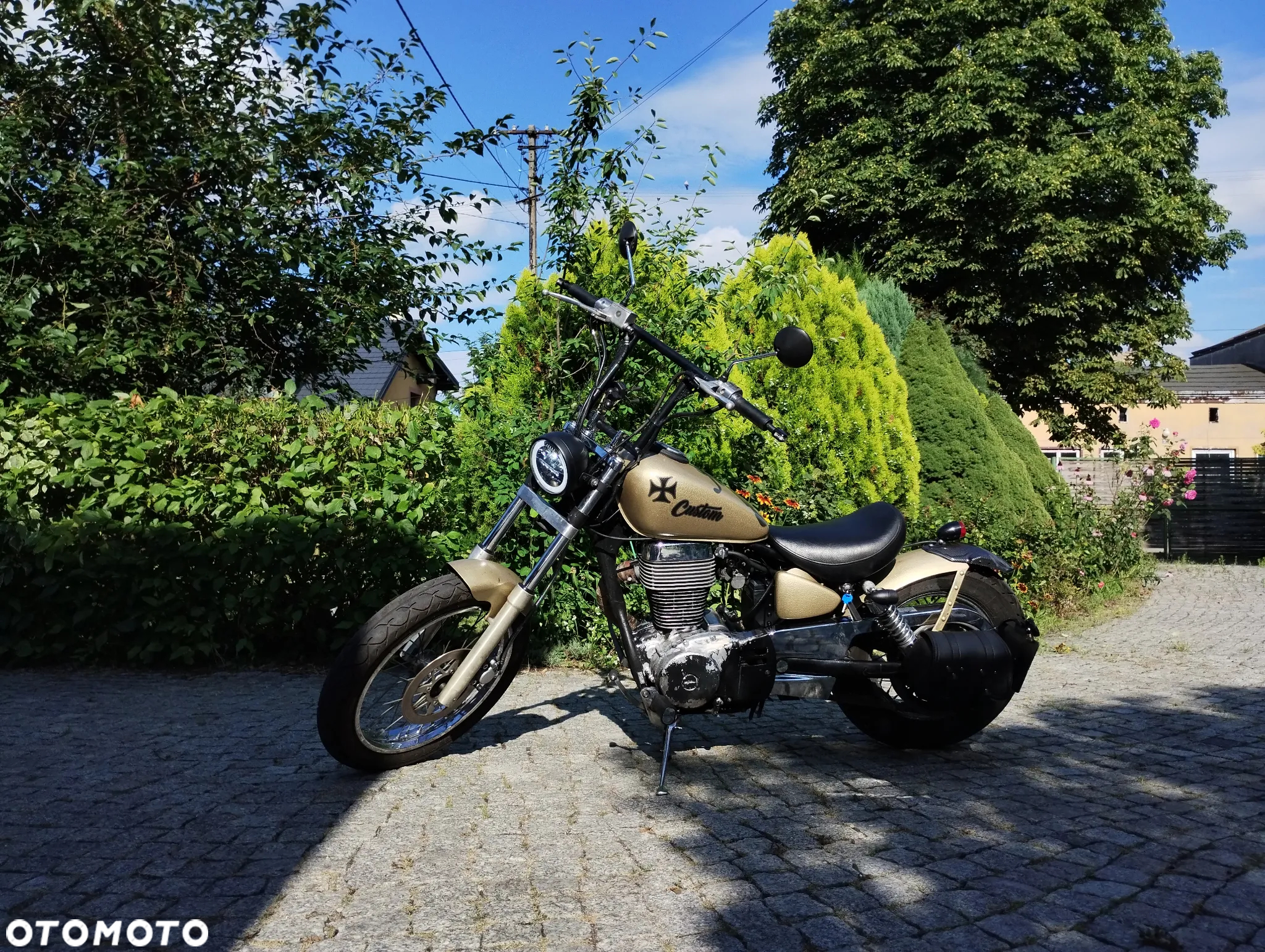 Suzuki Savage - 13