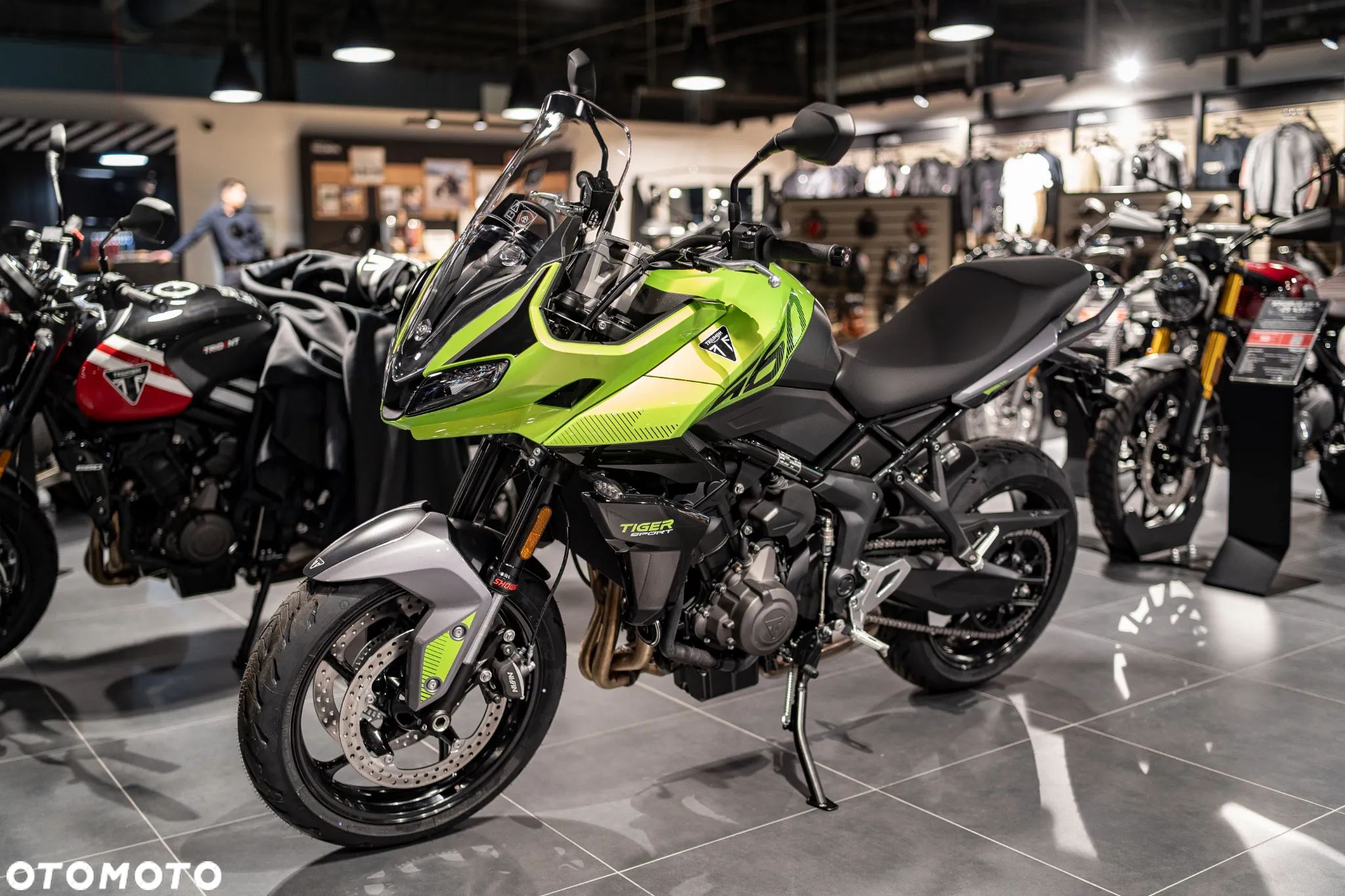 Triumph Tiger - 1