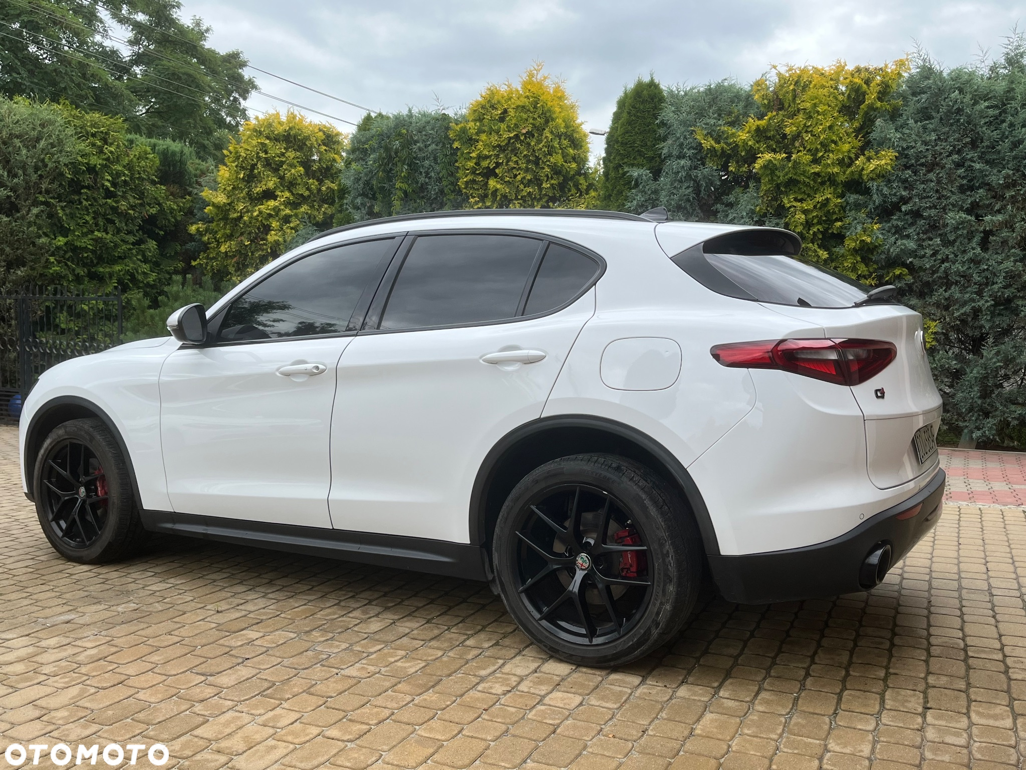 Alfa Romeo Stelvio 2.0 Turbo 16V AT8-Q4 Veloce Ti - 7