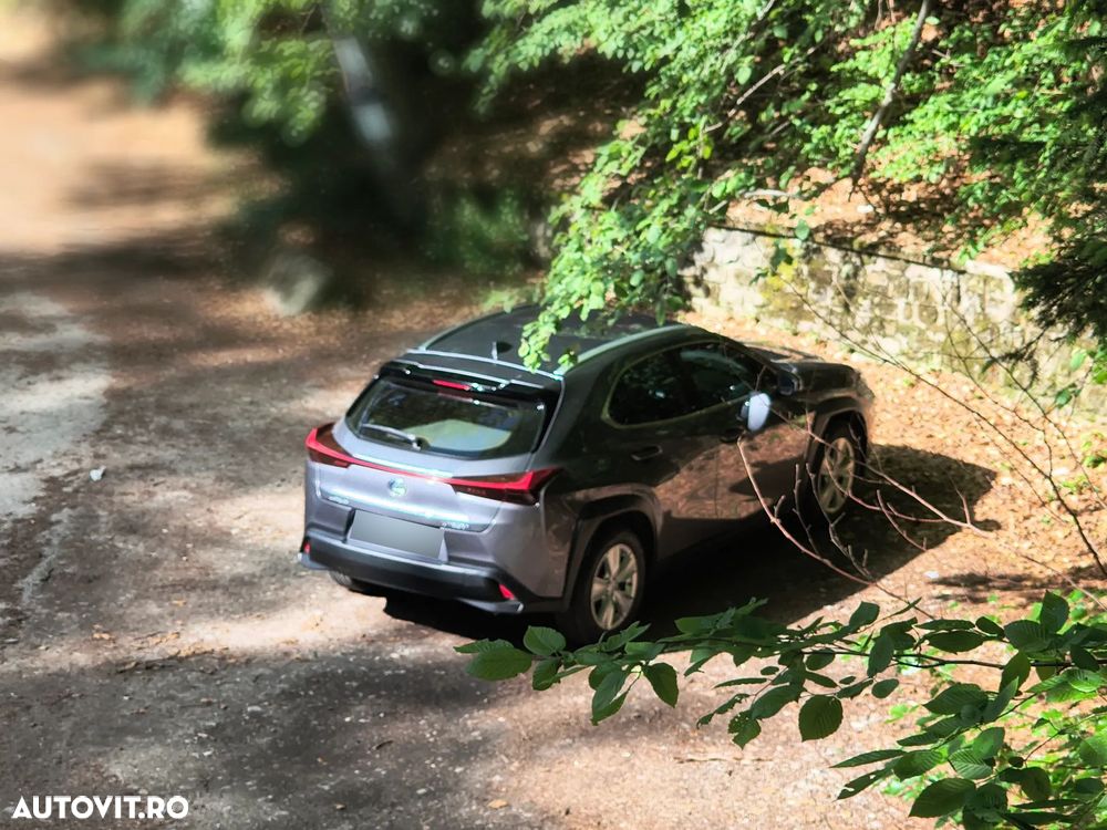 Lexus UX 250h FWD Business - 2