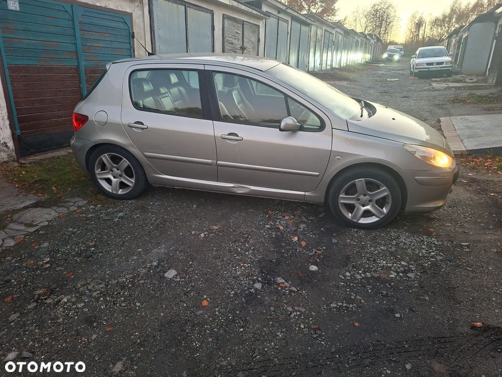 Peugeot 307 2005 photo 3