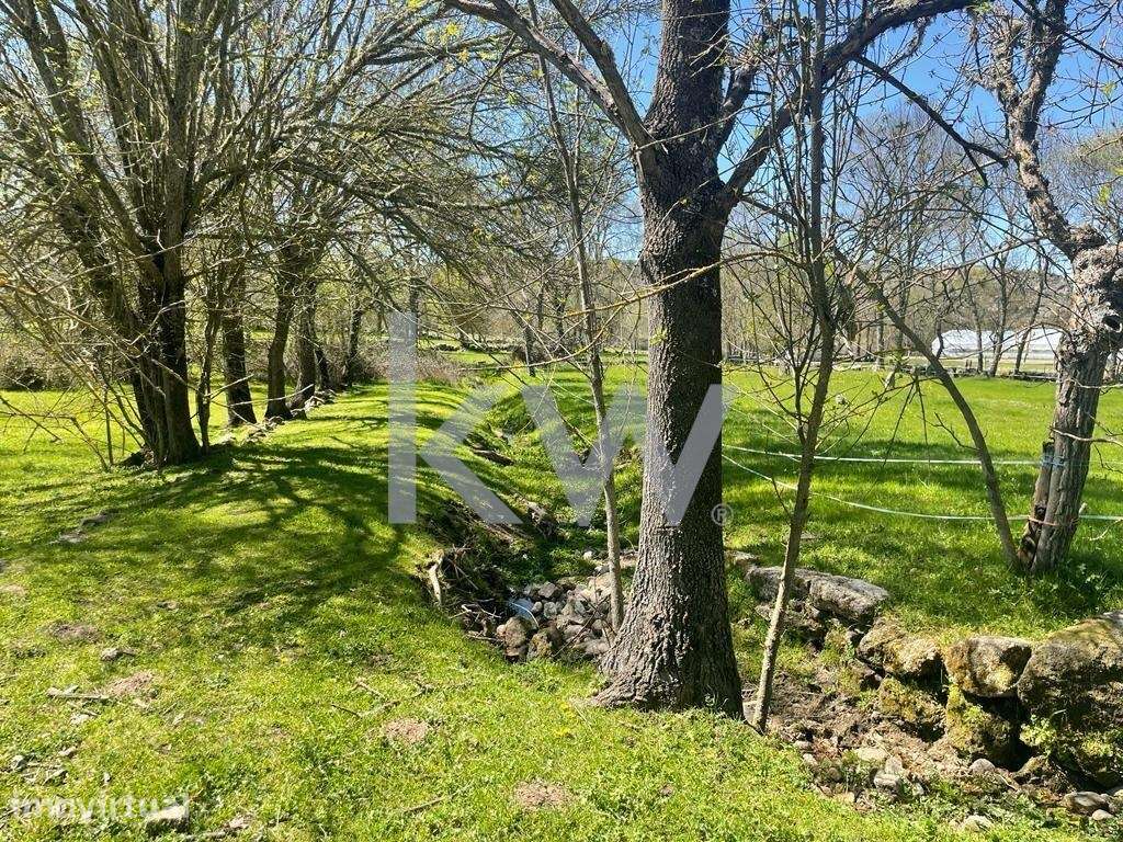 Quinta rural com 3 hectares completa com equipamentos e tractor - Grande imagem: 4/28