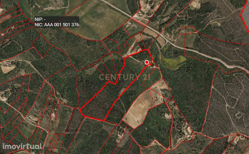 Terreno à venda em Bordeira, Aljezur - 56500m² com potencial - Grande imagem: 2/7
