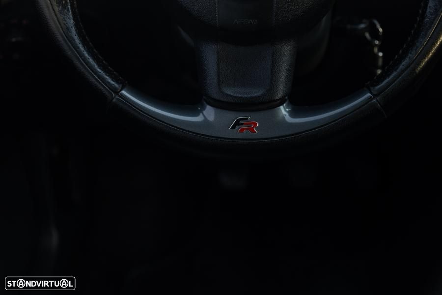 SEAT Ibiza 1.9 TDI FR - 36