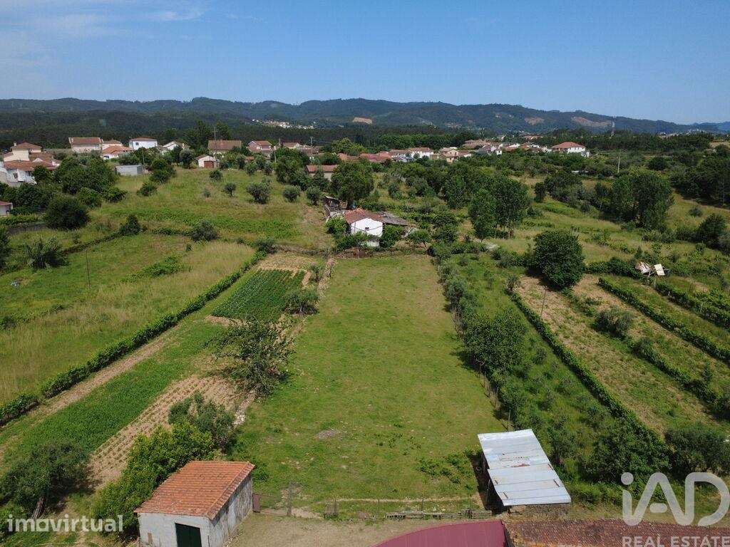 Terreno para construção em Poiares - Grande imagem: 2/39