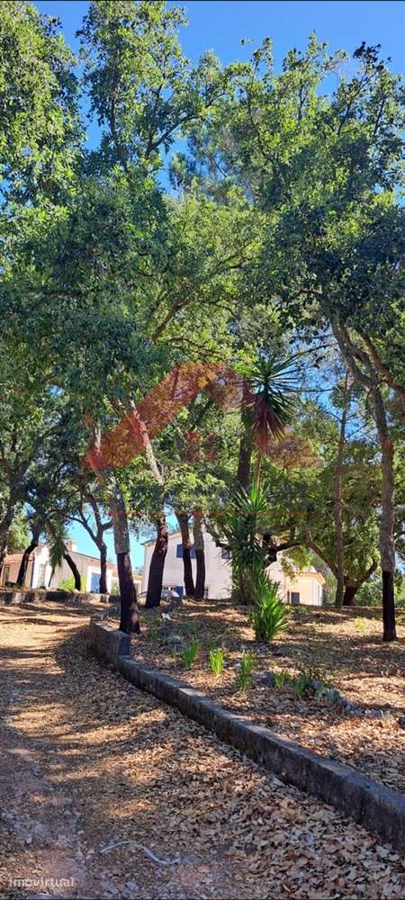 Quinta T5 Venda em Vale de Santarém,Santarém - Widok 5