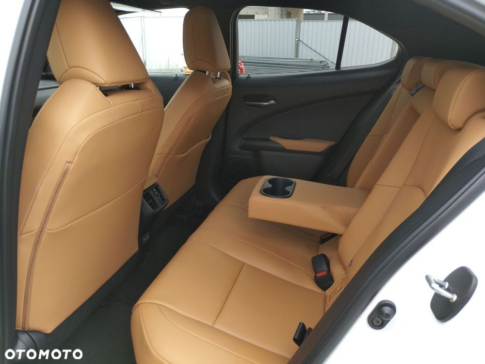 Lexus UX 300h F Sport Design - 12