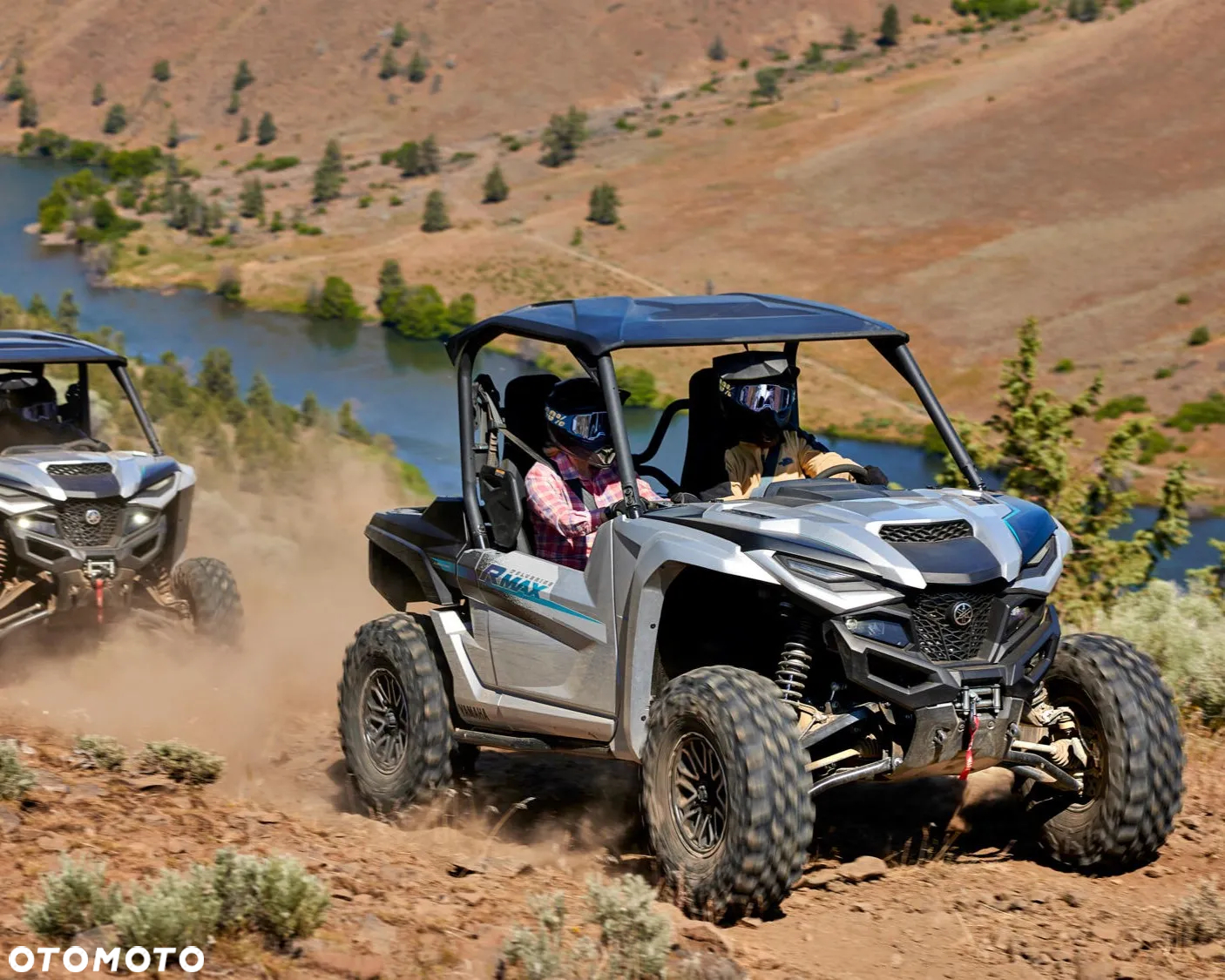 Yamaha Wolverine - 7