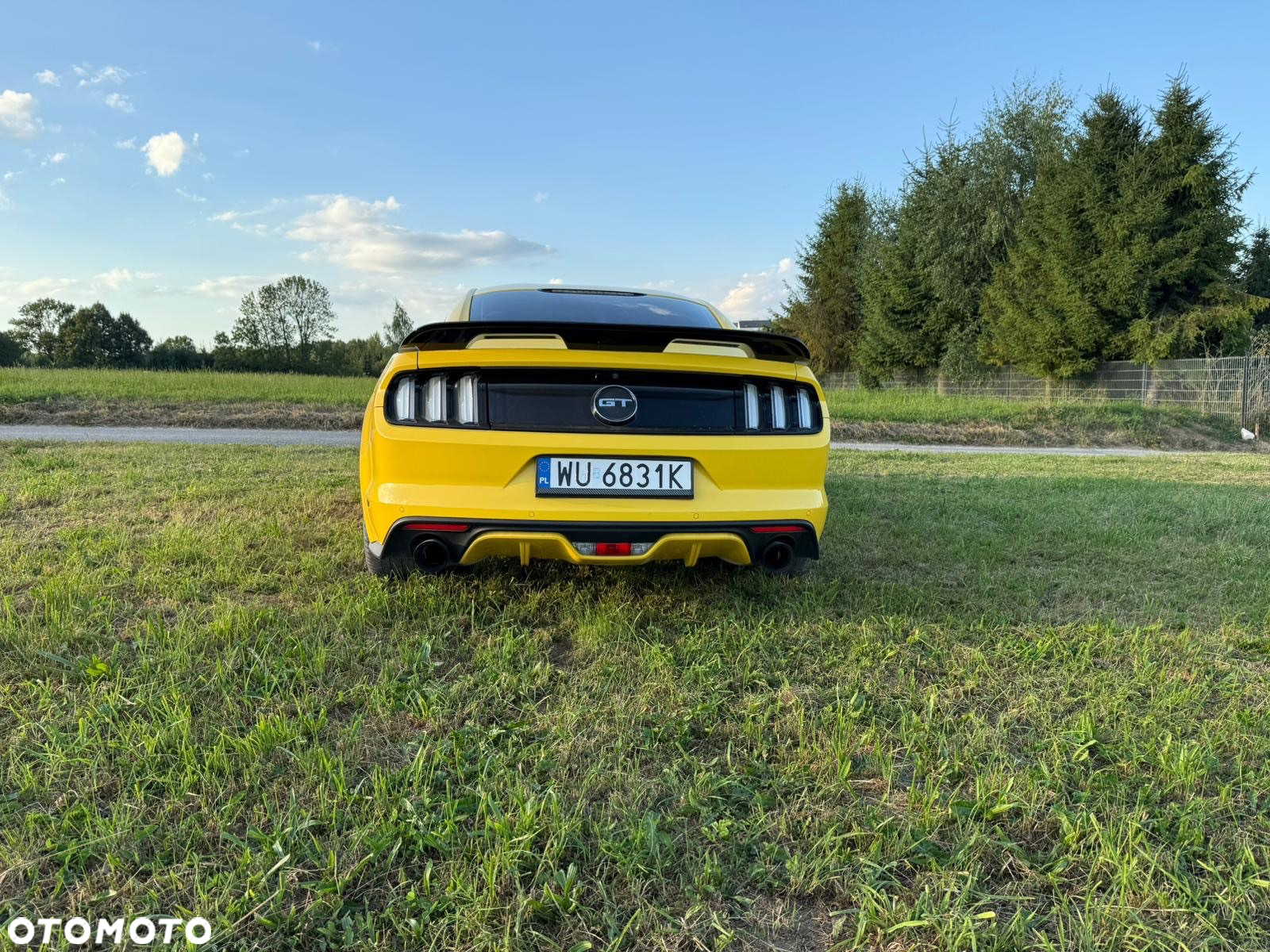 Ford Mustang 5.0 V8 GT - 6