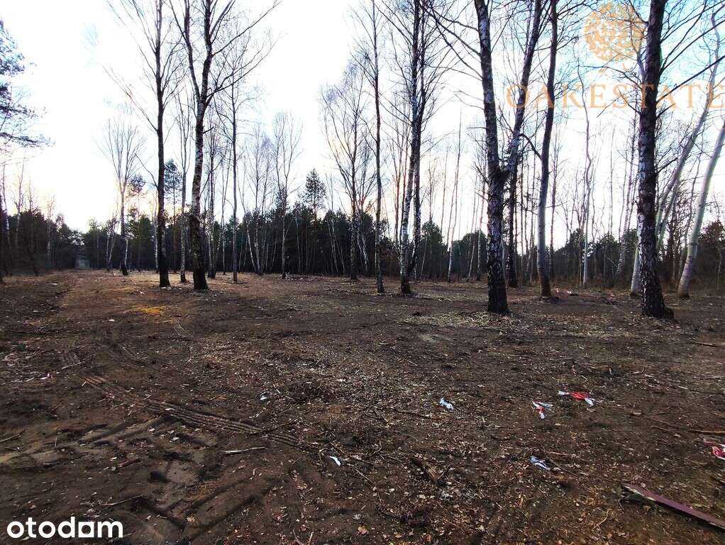 działki 1100 m2, cisza i zieleń - Pełny obrazek: 3/7