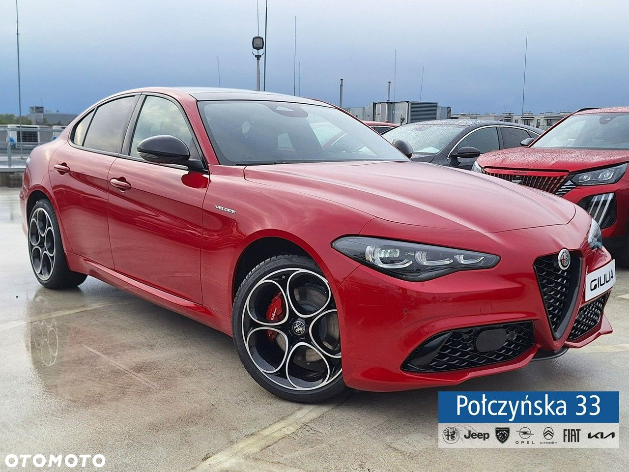 Alfa Romeo Giulia - 2