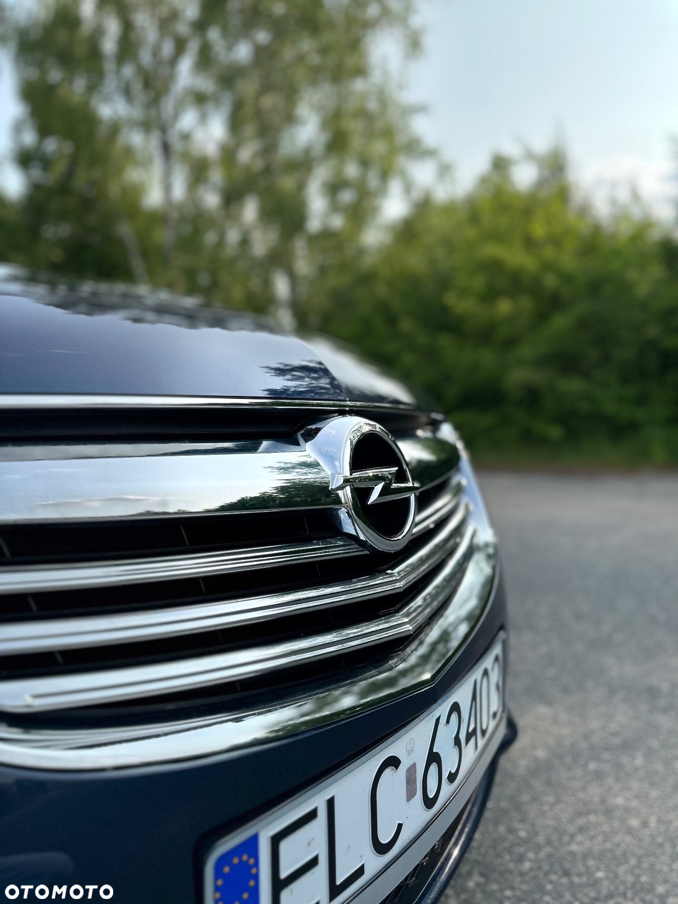 Opel Insignia 2.0 CDTI Executive ecoFLEX S&S - 13