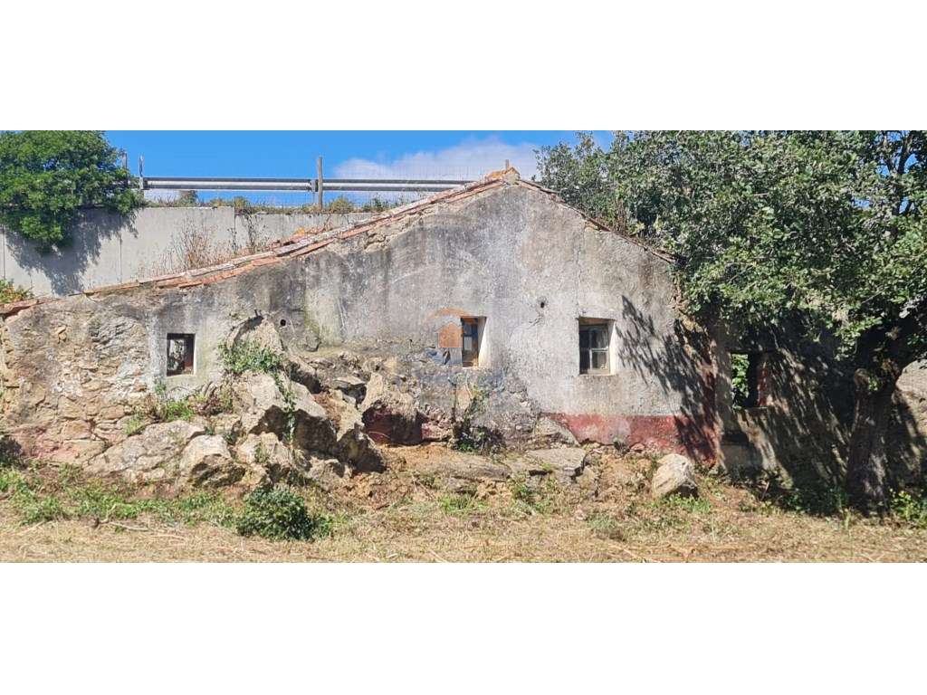 MTM6873 - Quintinha 3.000m2 | Torres Vedras - Grande imagem: 3/11