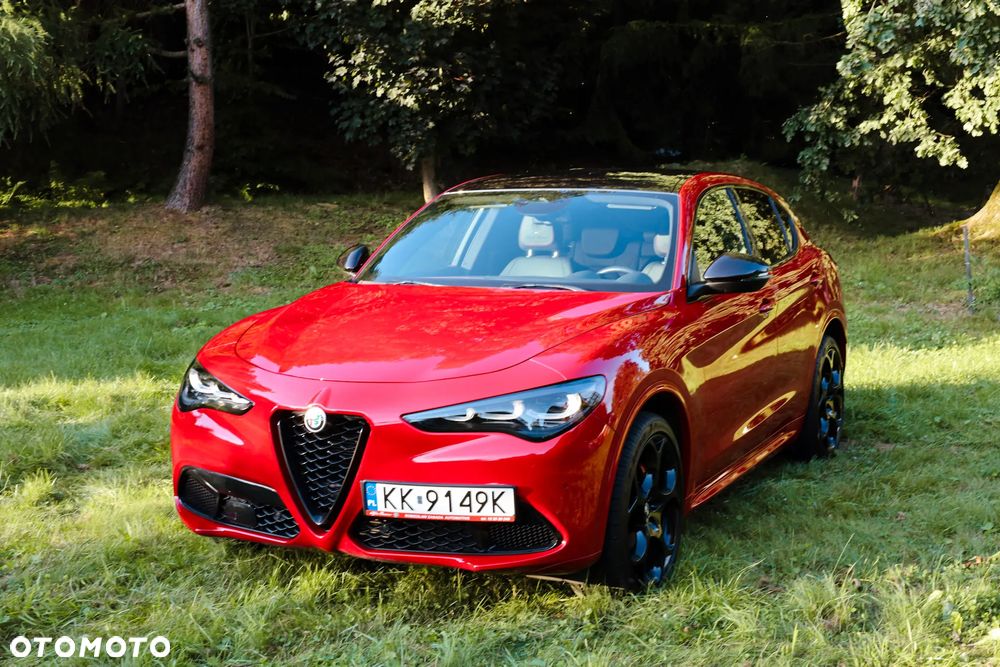 Alfa Romeo Stelvio 2.0 Turbo Tributo Italiano Q4 - 1