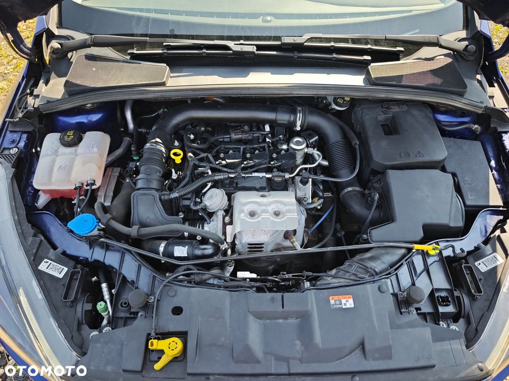 Ford Focus - 12