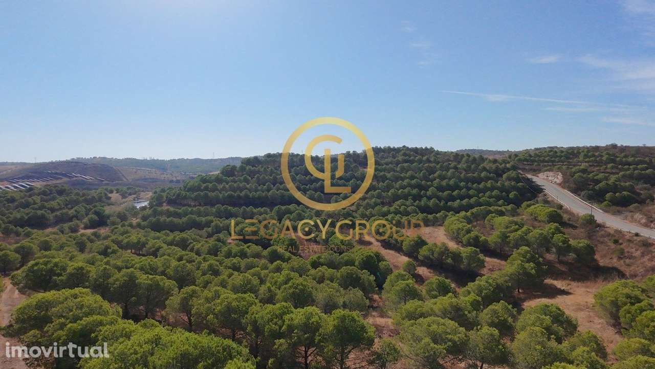 Venda conjunta de 2 terrenos com quase 5 hectares de área total - V... - Grande imagem: 4/12