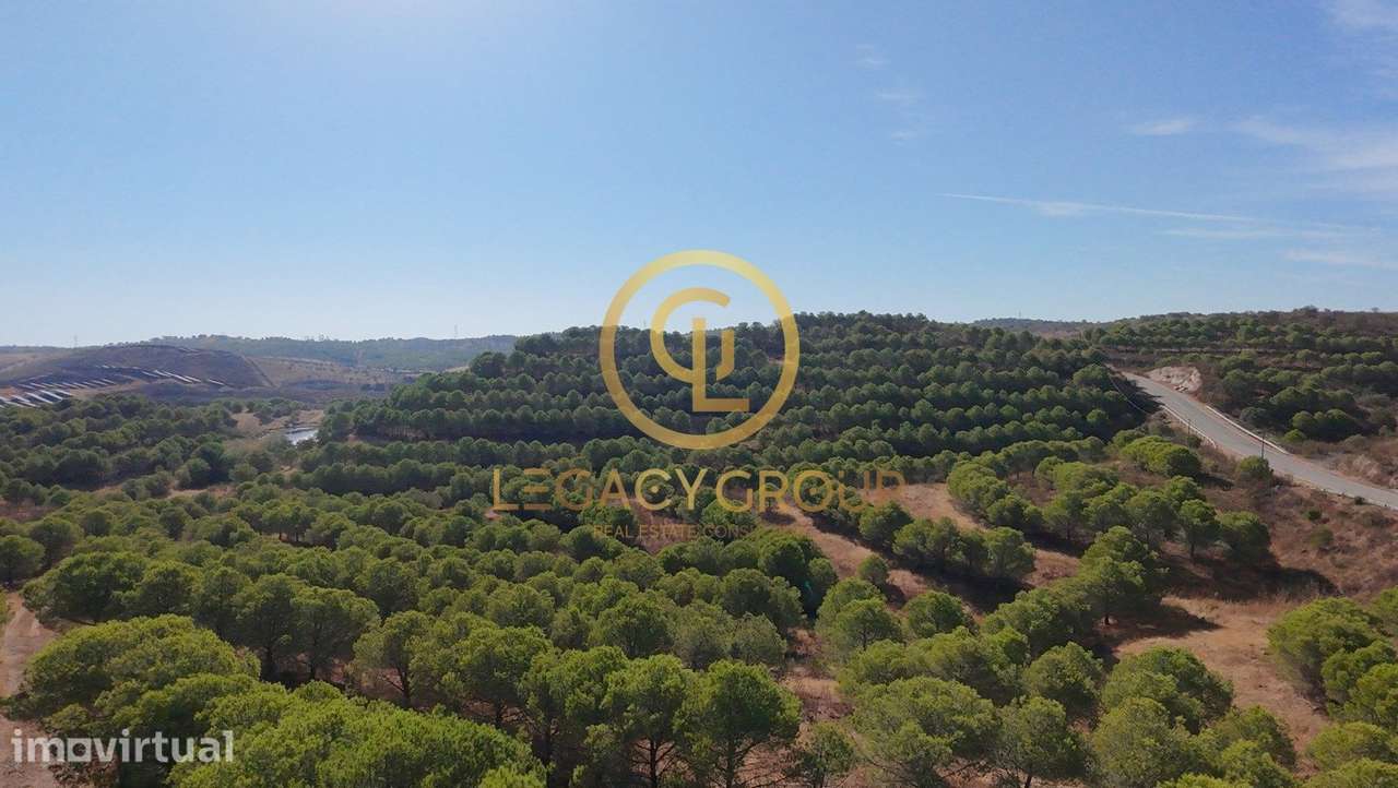 Venda conjunta de 2 terrenos com quase 5 hectares de área total - V... - Grande imagem: 4/12
