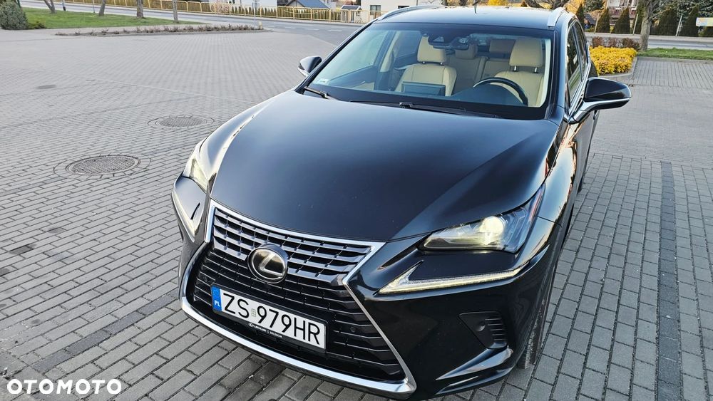 Lexus NX 300 Comfort AWD - 18