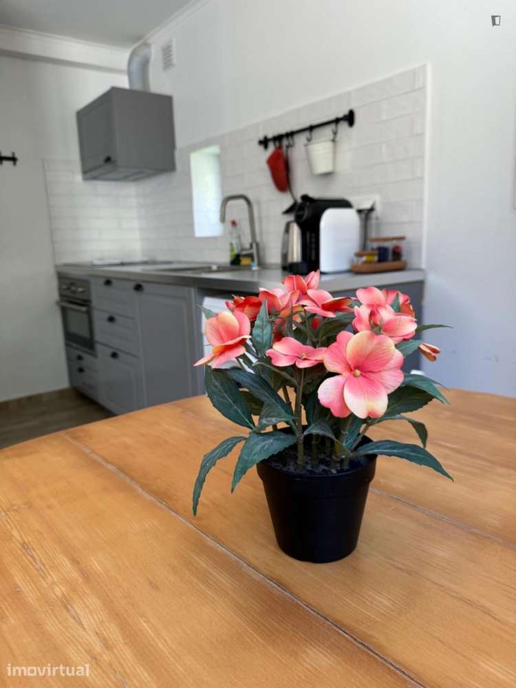 Casa com 2 quartos - localizado em São Bento Lisbon - Grande imagem: 3/13