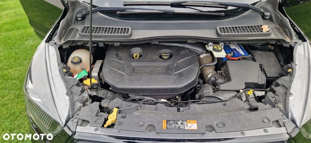 Ford Kuga 2.0 EcoBoost AWD ST-Line ASS - 13