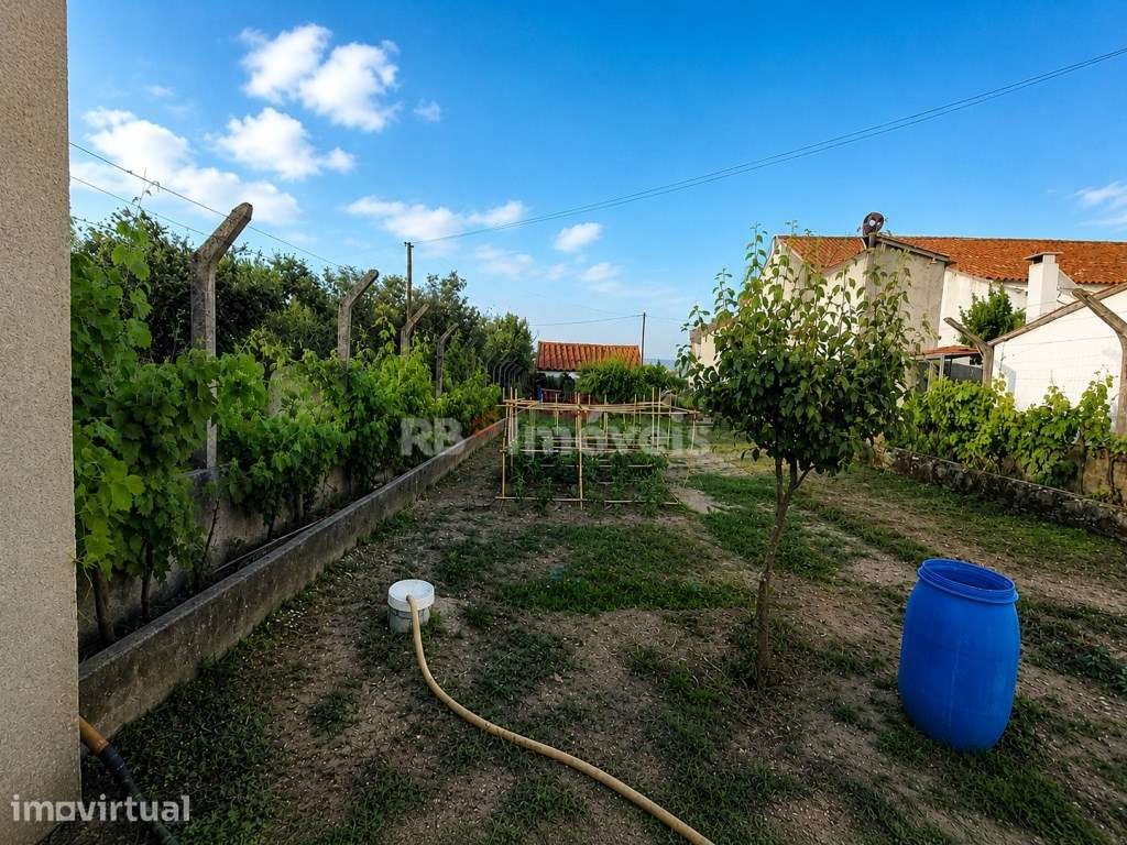 Terreno Urbanizável c/ 1.720 m², Furo, Luz, Barracão e Árvores de F... - Grande imagem: 2/46