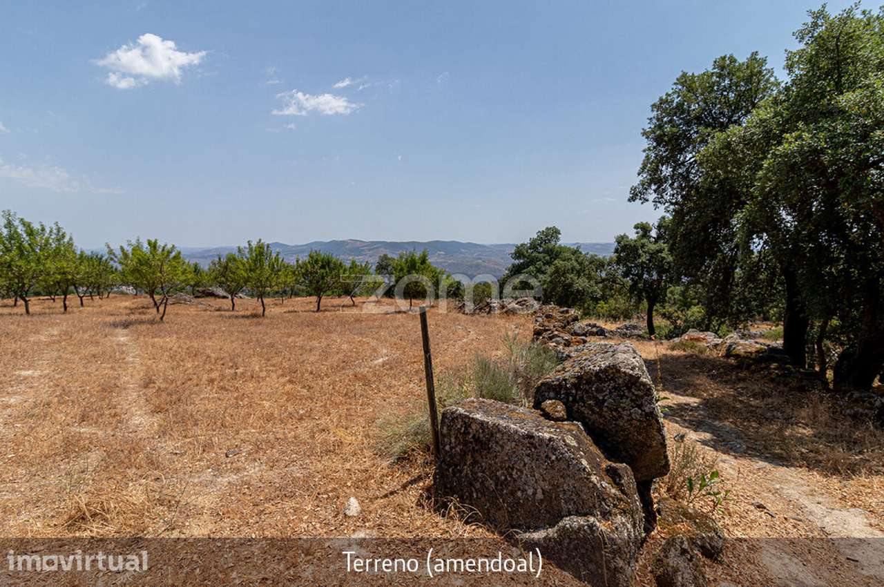 Quintinha - Lousa, Torre de Moncorvo, Portugal - Grande imagem: 5/40
