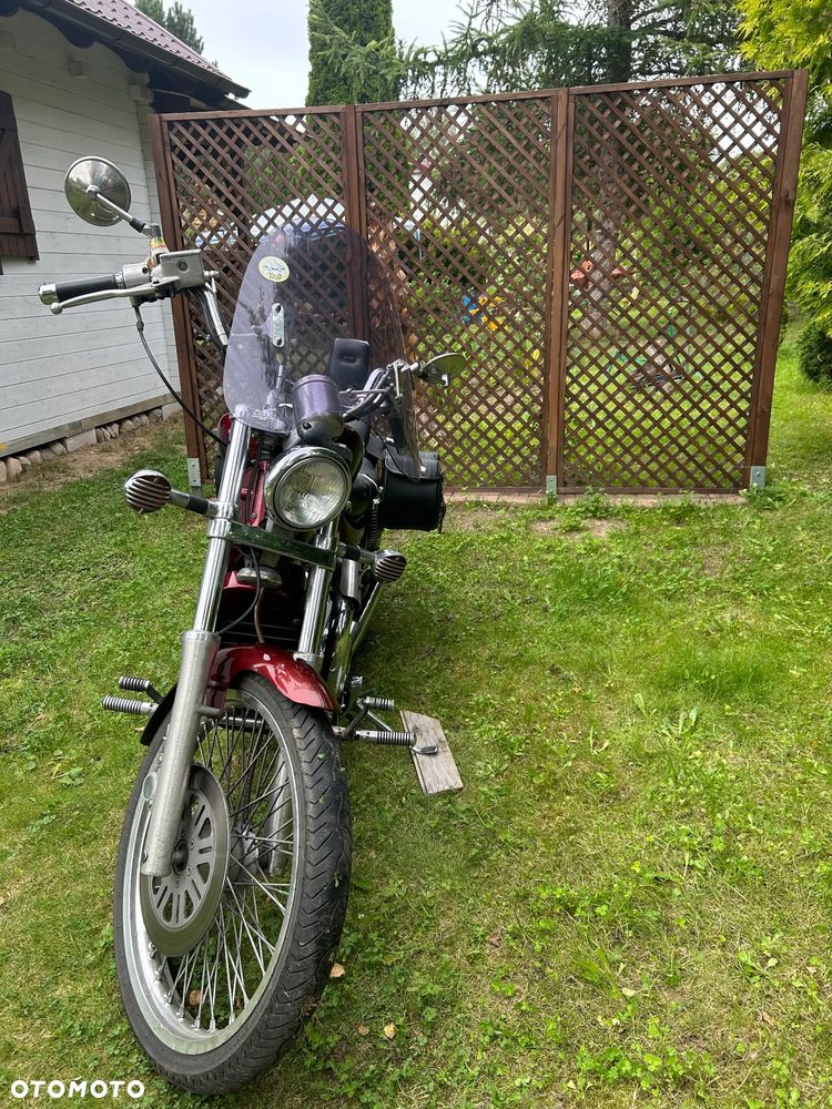 Suzuki Intruder - 8