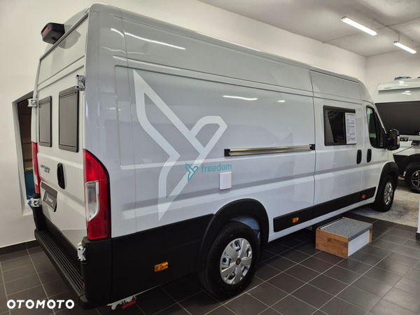 Affinity Freedo 636
