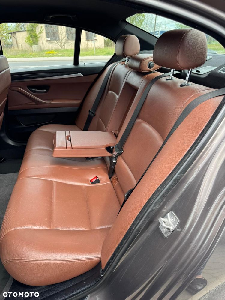 BMW Seria 5 520d BluePerformance - 18