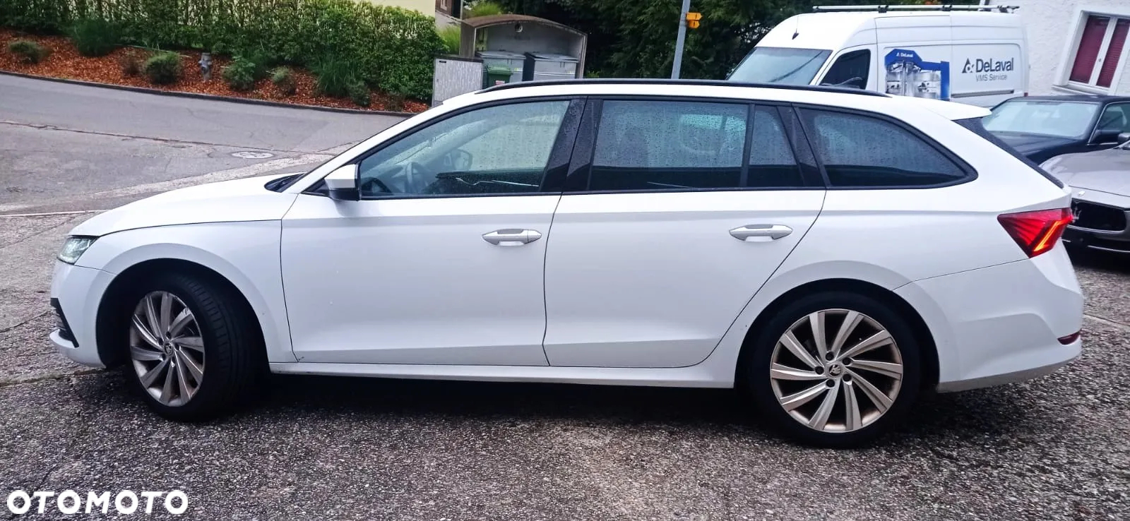 Skoda Octavia - 8