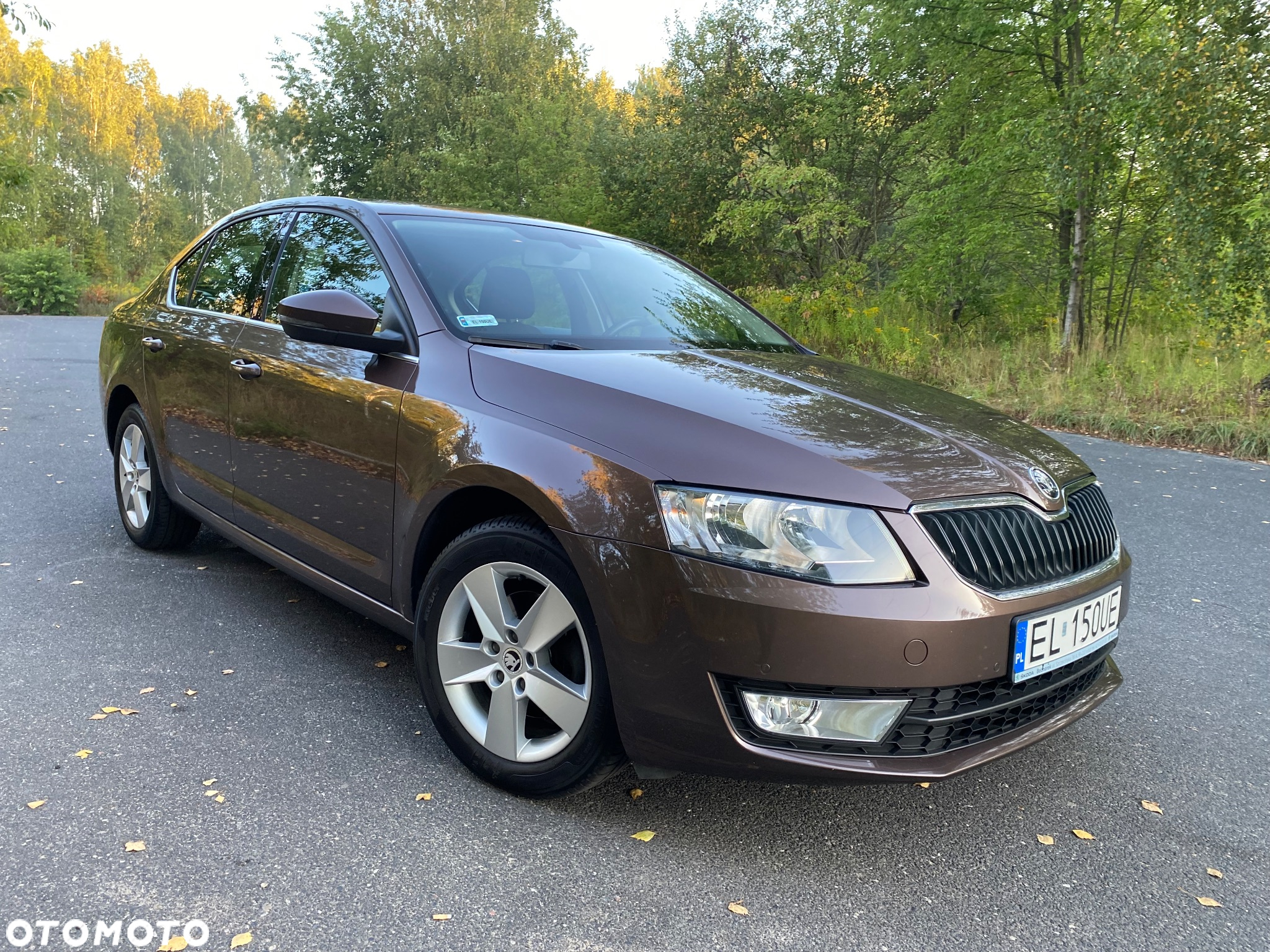 Skoda Octavia 1.4 TSI Ambition - 2