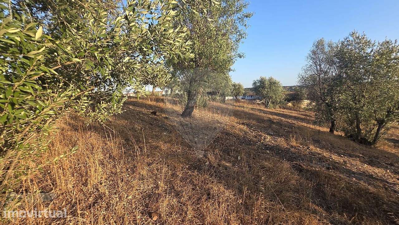 Terreno  para venda - Grande imagem: 5/11