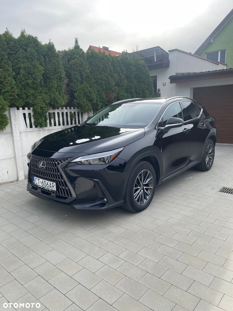 Lexus Nx 2023 photo 3