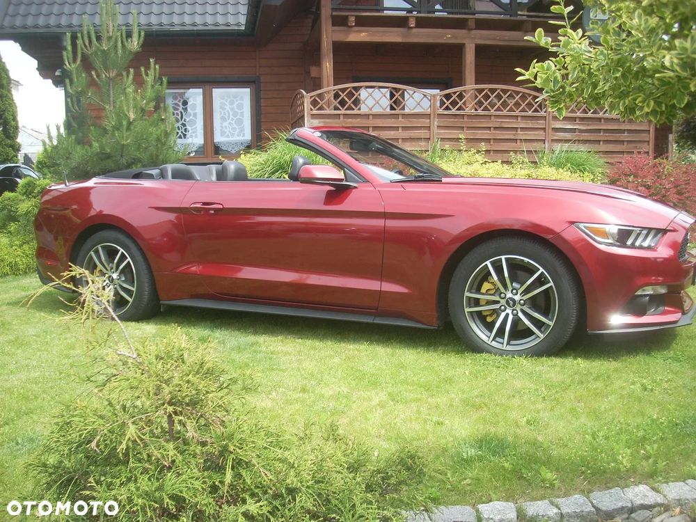 Ford Mustang 2.3 EcoBoost - 18