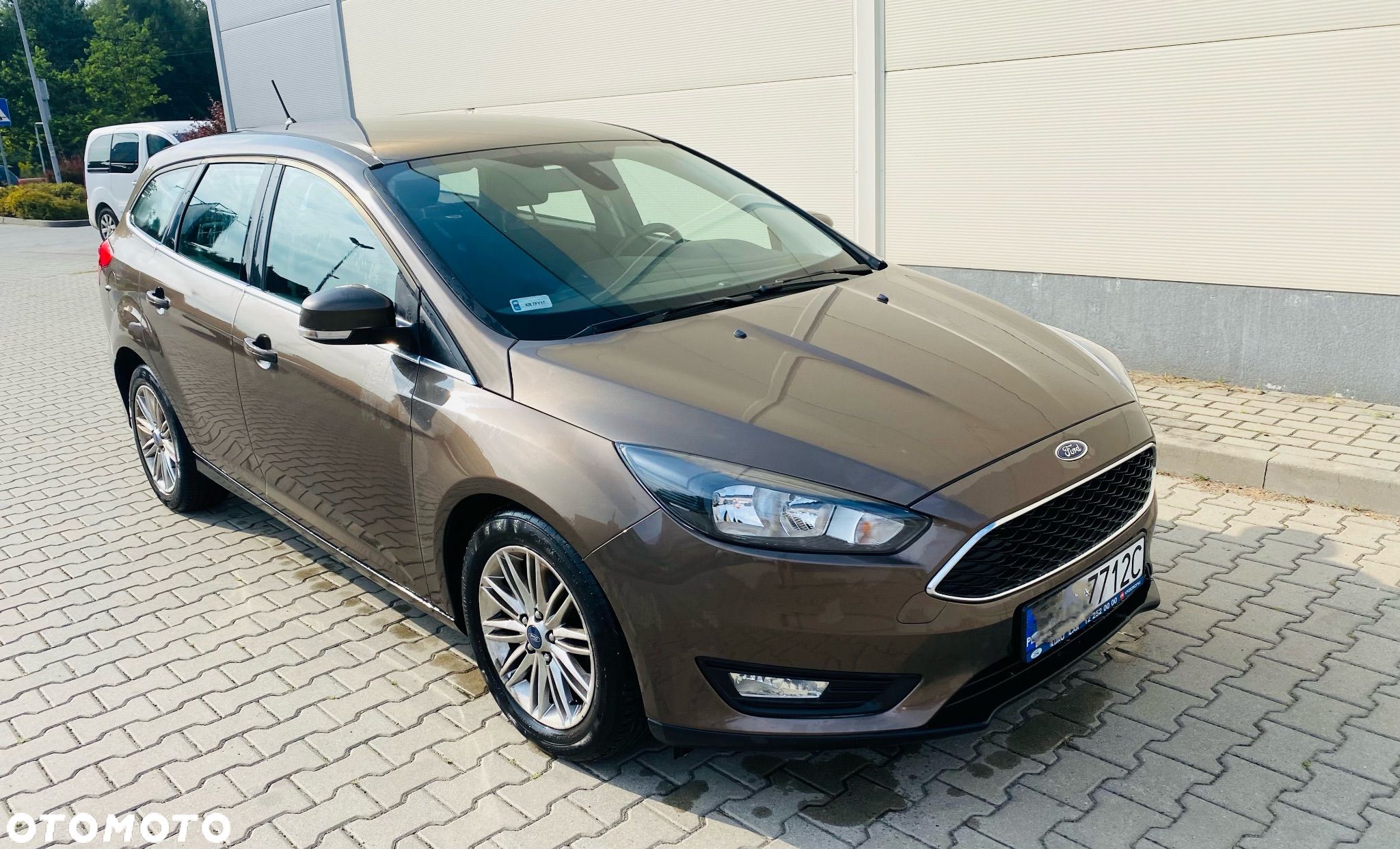 Ford Focus - 1