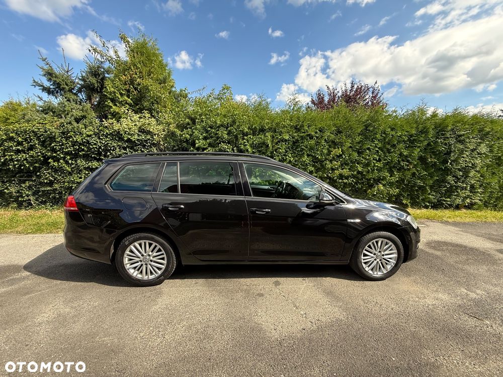 Volkswagen Golf 1.6 TDI BlueMotion Technology Cup - 7