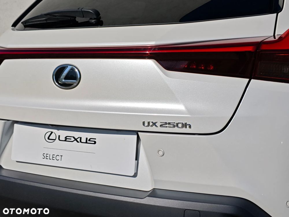 Lexus UX 250h GPF Business 2WD - 21