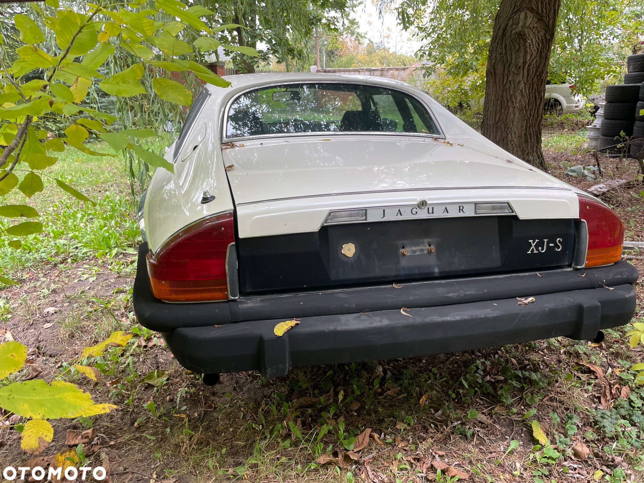 Jaguar XJS - 2