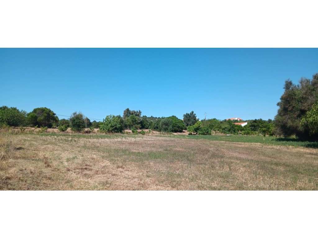 Terreno Rústico 8.480 m² Odiáxere, Lagos - Grande imagem: 5/13