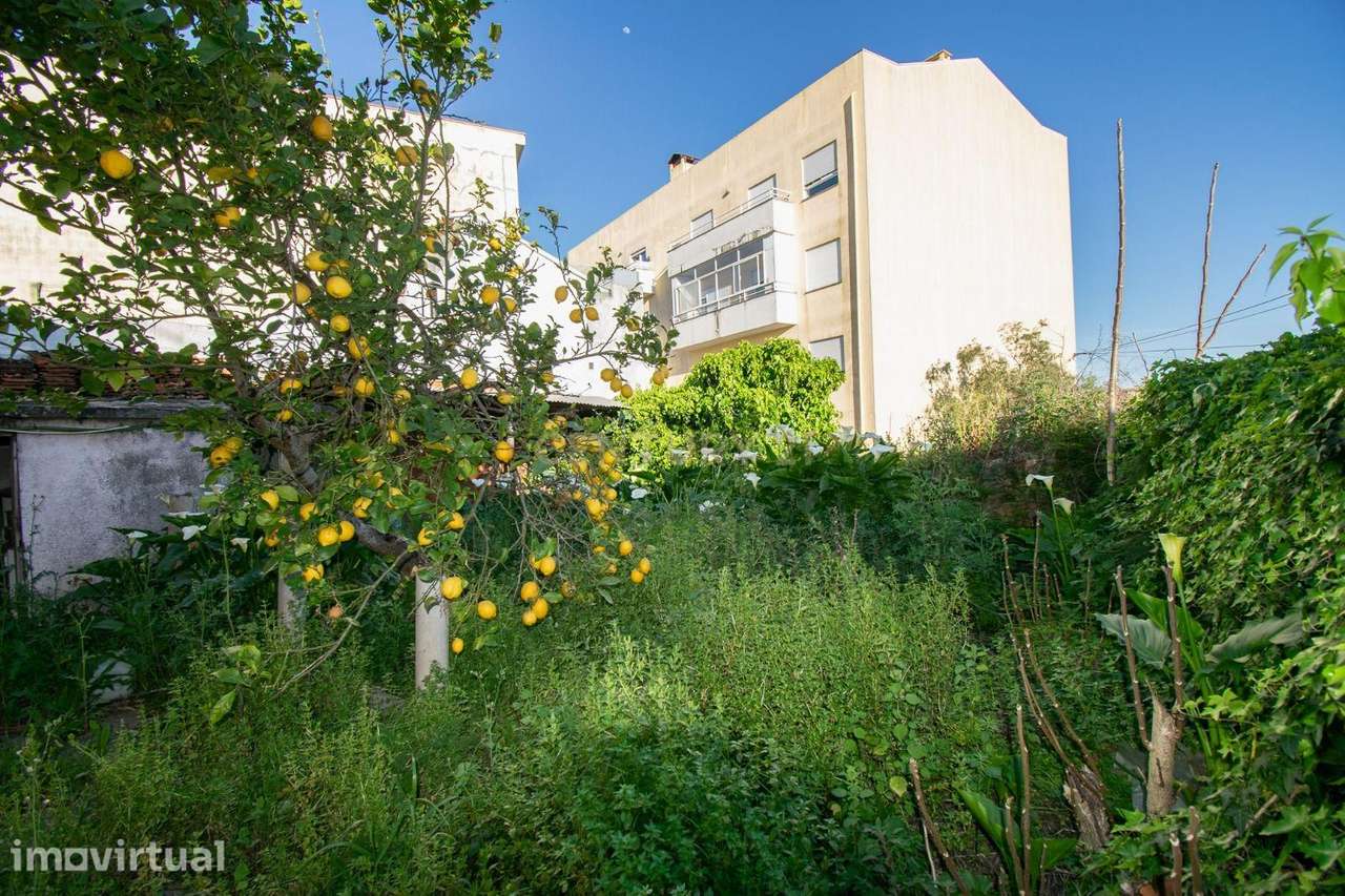 Moradia Térrea para Recuperação no Monte Formoso, Coimbra - Grande imagem: 5/18