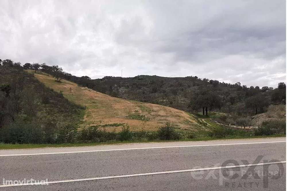 Terrenos Rústicos em Mirandela - Grande imagem: 3/13