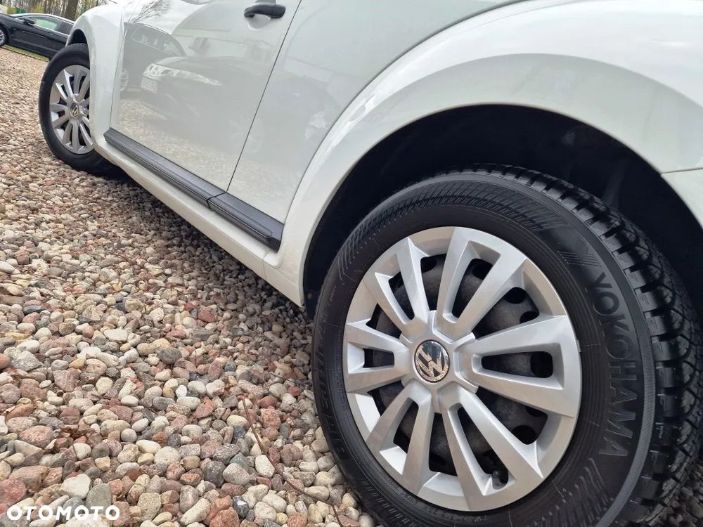 Volkswagen Beetle - 24
