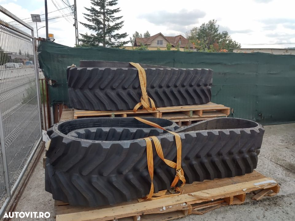 Challenger Senile 24” & 30” - 16