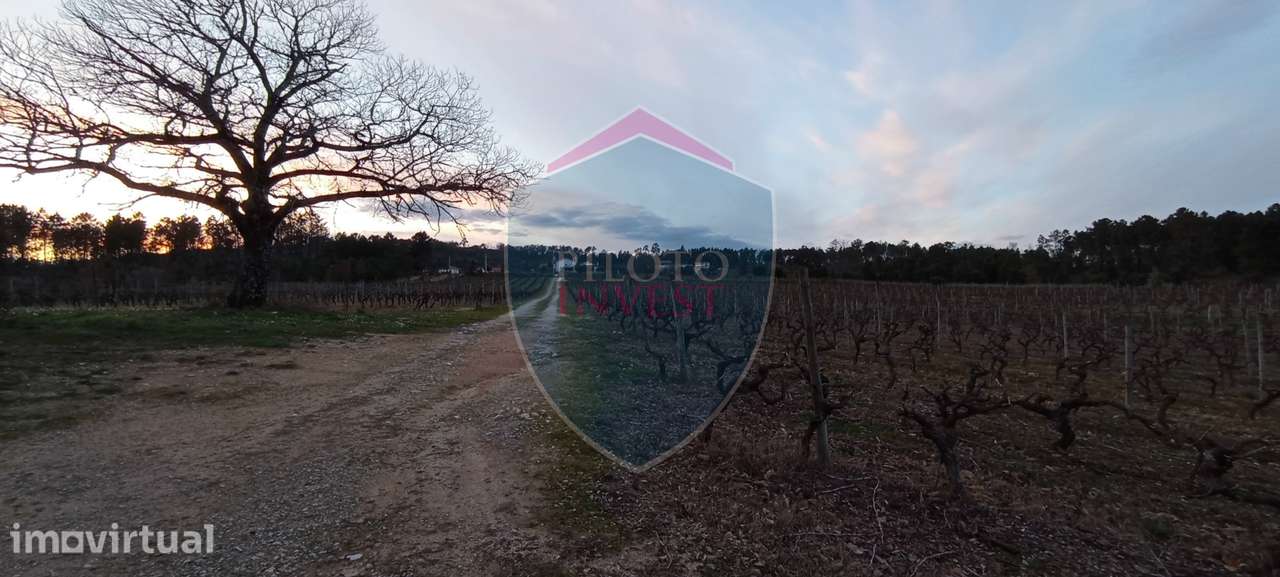 Quinta  Venda em Sezures,Penalva do Castelo - Grande imagem: 2/18