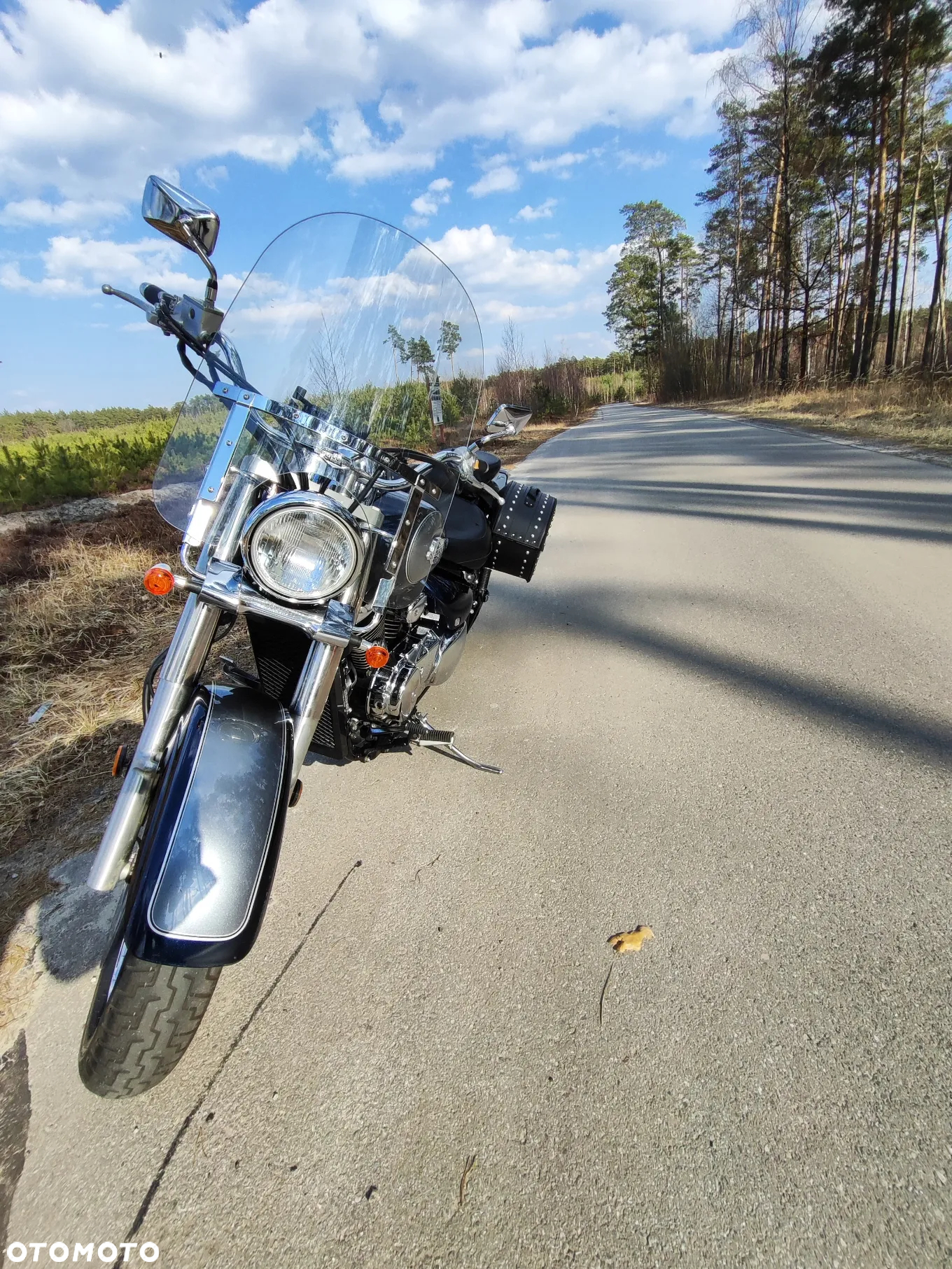 Suzuki VL 800 Volusia - 12