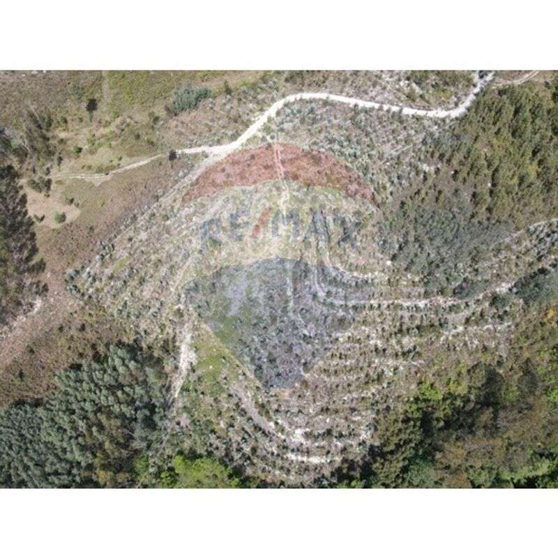 Terreno  para venda - Grande imagem: 2/14